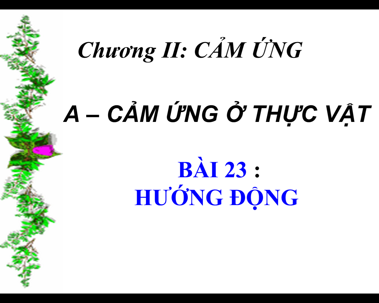 Sinh12 Huong dong_THPT Tân Thạnh_Tân Thạnh (1)
